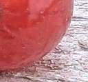 redcurrant bot right
